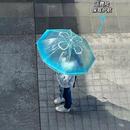 2024新款 日系夢幻海月水母透明雨傘自動長柄加厚抗風(fēng)小清新高顏值