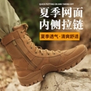 夏季 沙漠作訓靴 網眼透氣棕色作戰訓靴男女戶外高幫拉鏈超輕登山鞋