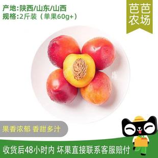 油桃2斤單果60g 芭芭農場兌換