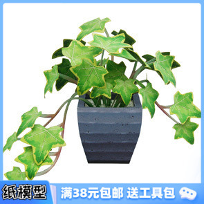 3D紙模型手工diy禮物 常春藤 仿真植物