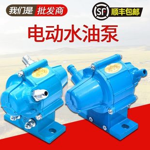 晶體管電磁式 電動油泵24v12v五十鈴汽車貨車水泵柴油泵外置抽油泵
