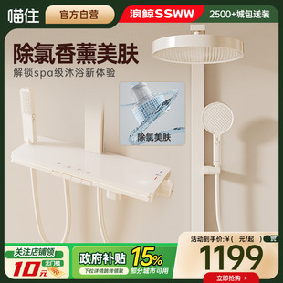 浪鯨衛(wèi)浴淋浴花灑套裝 政府補貼 除氯美膚花灑恒 國補15%