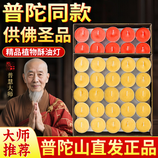 酥油燈供佛燈2025新款 長明圓點 1248一小時廠家直銷佛家佛臺前供