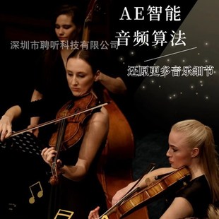 車載卡拉OKDSP功放一體機汽車音響改裝 車載功放DSP音頻處理器AB類
