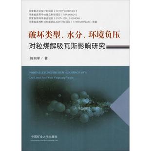 運輸大中專 社 環境負壓對粒煤解吸瓦斯影響研究 中國礦業大學出版 圖書籍 新華書店正版 交通 著 陳向軍 水分 破壞類型