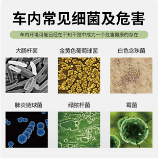 百適通汽車除異味車內除臭空氣清新劑車用空氣凈Y化器空調除臭