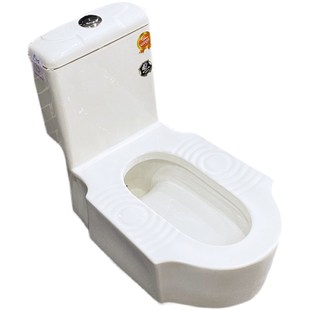 送貨坐便器改裝 蹲廁陶瓷蹲坑水箱一體蹲便器家用馬桶免壘臺式
