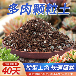 仙兔多肉營養土專用顆粒土肉肉植物種植土進口泥炭鋪面石葉插花土