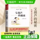 寶葫蘆 課外閱讀兒童文學書 秘密小英雄雨來稻草人青銅葵花小學版