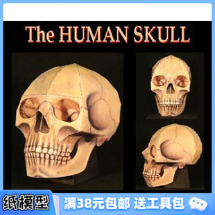 飾 萬圣節裝 人類頭骨 搞怪禮品 3D紙模型手工diy禮物
