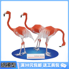 3D紙模型手工diy禮物 火烈鳥 仿真動物