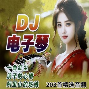 8GDJ電子琴專輯203首內(nèi)存卡音頻插卡音箱浪子 姑娘 心情阿里山