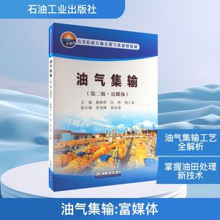 化工技術(shù) 第2版 郭士軍 油氣集輸 專(zhuān)業(yè)科技 9787518345564 戴靜君 社 ·富媒體 圖書(shū) 田野 石油工業(yè)出版 編