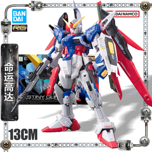 RG11 144 Destiny 命運高達現貨 萬代高達模型拼裝 Gundam SEED
