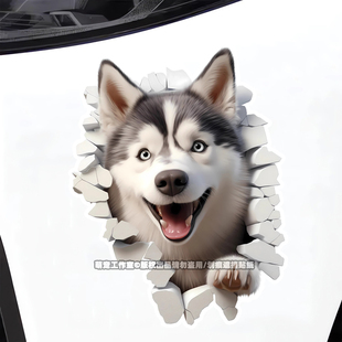 哈士奇犬裝 飾車貼紙摩托電動汽車身劃痕遮擋房間馬桶門墻壁3d貼畫