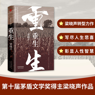 第十屆茅盾文學獎得主梁曉聲熱映電視劇 典藏版 正版 精裝 重磅長篇巨制 人世間 梁曉聲 重生 書籍 當當網