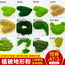 DIY手工沙盤建筑兵人場景觀地臺模型材料苔蘚地衣植被地形粉仿真