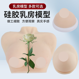 高級醫學仿真女性乳房義乳假乳催乳師培訓教具哺乳教學純硅膠模型