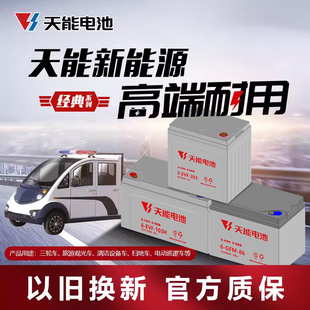 天能經典 系列新能源鉛酸電池洗地機叉車電瓶觀光車三輪電動車電池