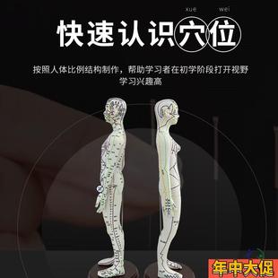 美善品牌英文針灸穴位人體模型圖可扎針人形練習英文全身經絡模型