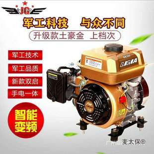 麥太保白雀48v60v72v伏電動兩輪三輪車四輪車汽車轎車增程器汽油