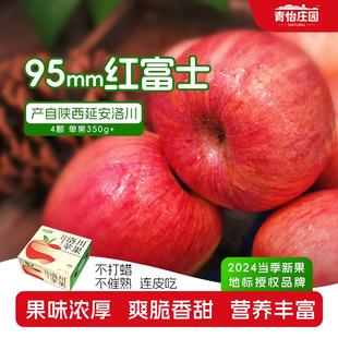 青怡陜西洛川紅富士蘋果24年當季 送禮盒 水果大果脆甜新鮮時令應季