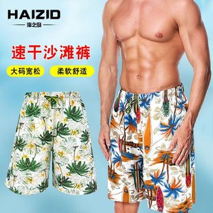 沙灘泳褲 時尚 男款 泳褲 休閑娛樂海邊度假泡溫 寬松大碼 德國進口新款