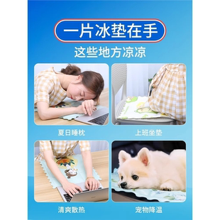 夏季 冰墊床墊凝膠坐墊免注水汽車沙發降溫學生宿舍單人冰涼墊透氣