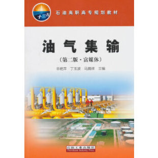 石油工業出版 9787518326747 第二版 辛艷萍 丁玉波 編者 油氣集輸 ·富媒體 社 正版 馬騰祥 圖書