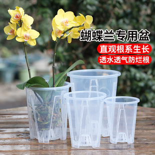 透明水苔蝴蝶蘭專用花盆塑料空氣柱透氣鏤空大號蘭花盆家用青山盆