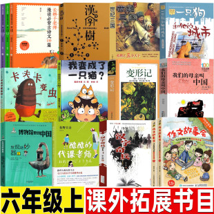 我變成了一只貓喜多村惠文卡夫卡變蟲記變形記漢字樹活在字里 代課老師作文故事會六年級上冊 中國人世紀三國羅伯英潘繪酷酷