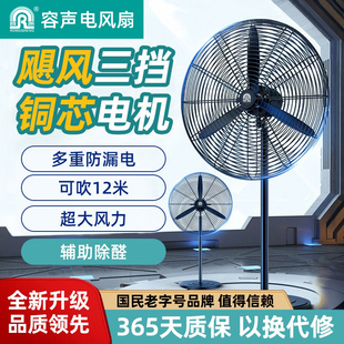 容聲工業(yè)落地扇電風(fēng)扇強(qiáng)力風(fēng)扇大風(fēng)力除甲醛工業(yè)電風(fēng)扇搖頭牛角扇