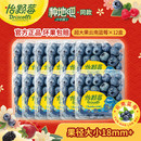 Driscoll 水果小中大果125g順豐酸甜多汁 s怡顆莓云南藍莓新鮮應(yīng)季