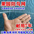 尼龍防鳥網(wǎng)大棚果樹櫻桃葡萄梨樹藍(lán)莓果園防鳥用網(wǎng)養(yǎng)殖場魚塘天網(wǎng)