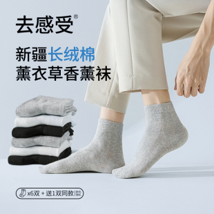 去感受10A抗菌新疆棉夏季 中短筒襪 透氣情侶款
