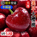 國產3 包郵 大連美早櫻桃新鮮水果車厘子5斤當季 4J整箱大珍珠黑孕婦
