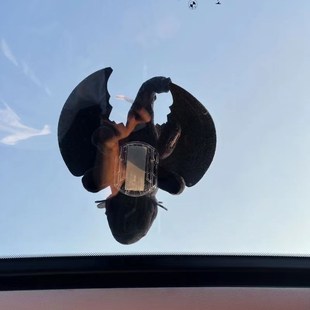 飾品擺件車載玩偶汽車尾部車頂車尾掛件車外 無牙仔裝 翅膀可動