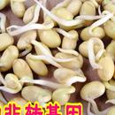 無鹽整張大豆排腐竹豆腐皮山東5斤特色干貨及養生干料 無鹽切寬絲