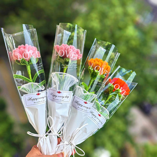 成品康乃馨單支包裝 花束扭扭棒手工diy材料自制仿真花母親節禮物