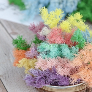 國產(chǎn)蓬萊松永生花配材保鮮花禮盒插花原材料diy浮游花標(biāo)本手作