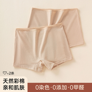 舒適女士內褲 頂瓜瓜 簡約媽媽內褲 2條裝 中老年 彩棉平角內褲