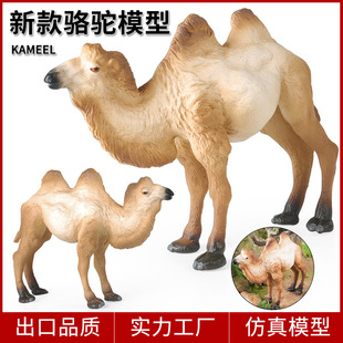 仿真駱駝模型實(shí)心野生動(dòng)物玩具大號(hào)雙峰駱駝兒童科教寶寶認(rèn)知