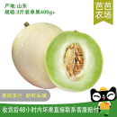 玉菇甜瓜3斤單果400g 芭芭農(nóng)場(chǎng)兌換