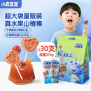 寶寶果肉條兒童零食無添加食鹽 山楂水果棒棒糖量販裝 小鹿藍藍