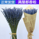 薰衣草干花天然風干花束安神助眠香薰網紅插花家居裝 飾擺設永生花