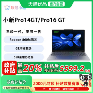 聯想 小新Pro14GT 酷睿第二代輕薄高能商務辦公 政府補貼至高20% 筆記本電腦 啟2025款 Lenovo AI元 Pro16GT
