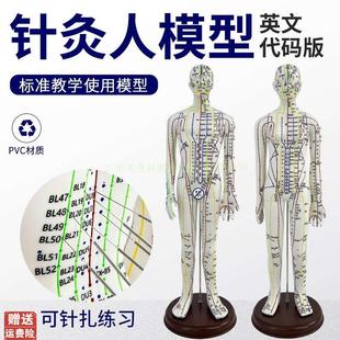 英文版 穴位模型軟膠可扎針練習針灸人H人體經絡穴位中醫全身模特