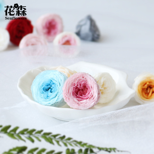 永生花奧斯汀玫瑰2 飾花盒玻璃罩材料包保鮮花 3cm小花頭diy手工裝