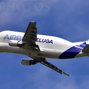 100紙模型飛機(jī)空客大白鯨Beluga運(yùn)輸機(jī)Airbus手工立體3D