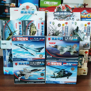 4D拼裝 軍事模型航空殲20戰(zhàn)斗機(jī)擺件武直飛機(jī)玩具禮物 模型免膠拼裝